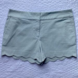 Loft Shorts Riviera Sz 6 NWT